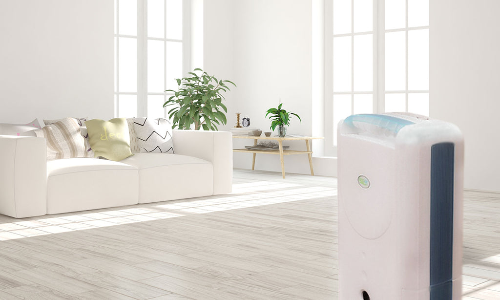 HUMIDIFIERS AND DEHUMIDIFIERS
