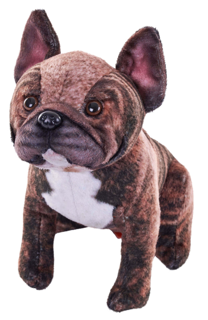 27419 Rescue French Bulldog - Khubchands