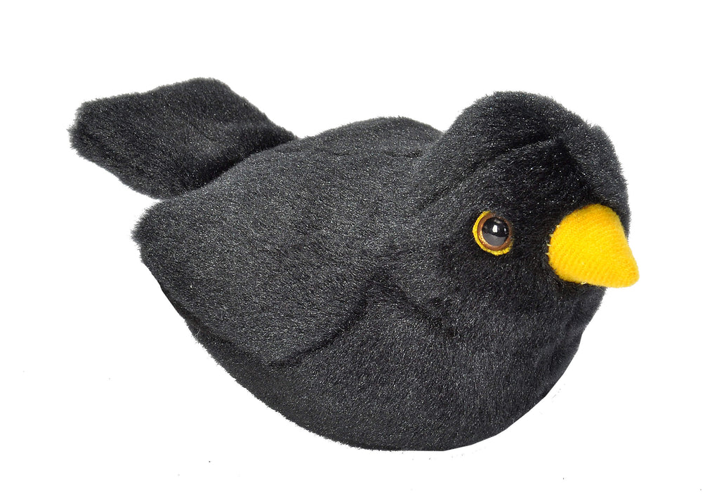 Bizoo Bird Blackbird - Khubchands