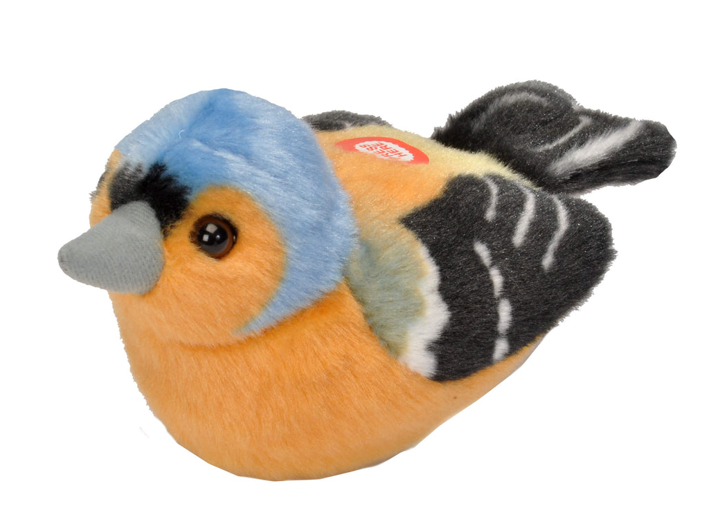 Bizoo Bird Chaffinch - Khubchands
