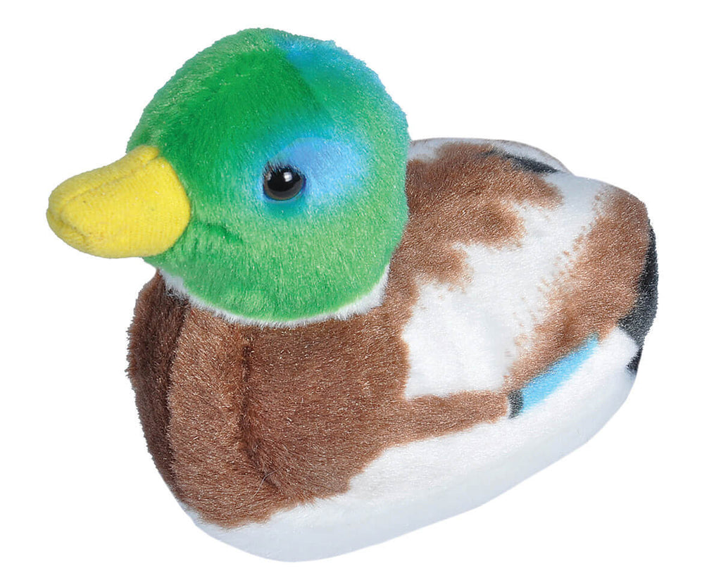 Bizoo Bird Mallard Duck - Khubchands