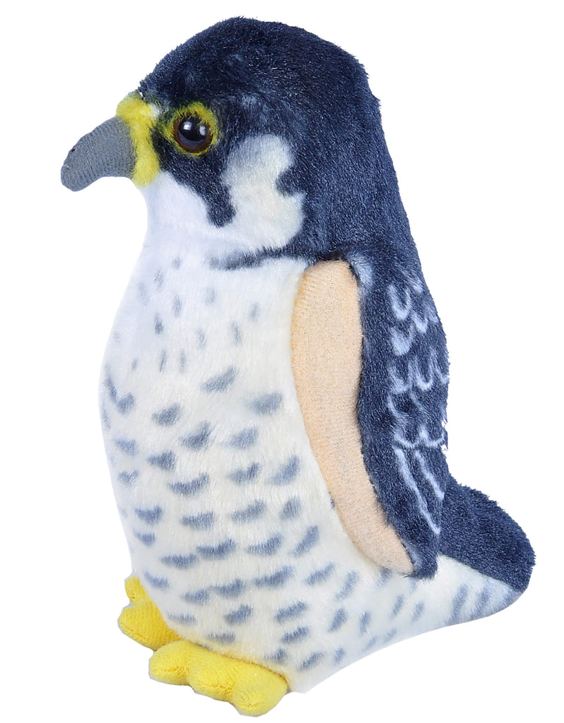 Bizoo Bird Peregrine Falcon - Khubchands
