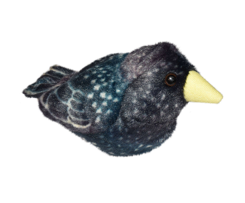 Bizoo Bird Starling - Khubchands