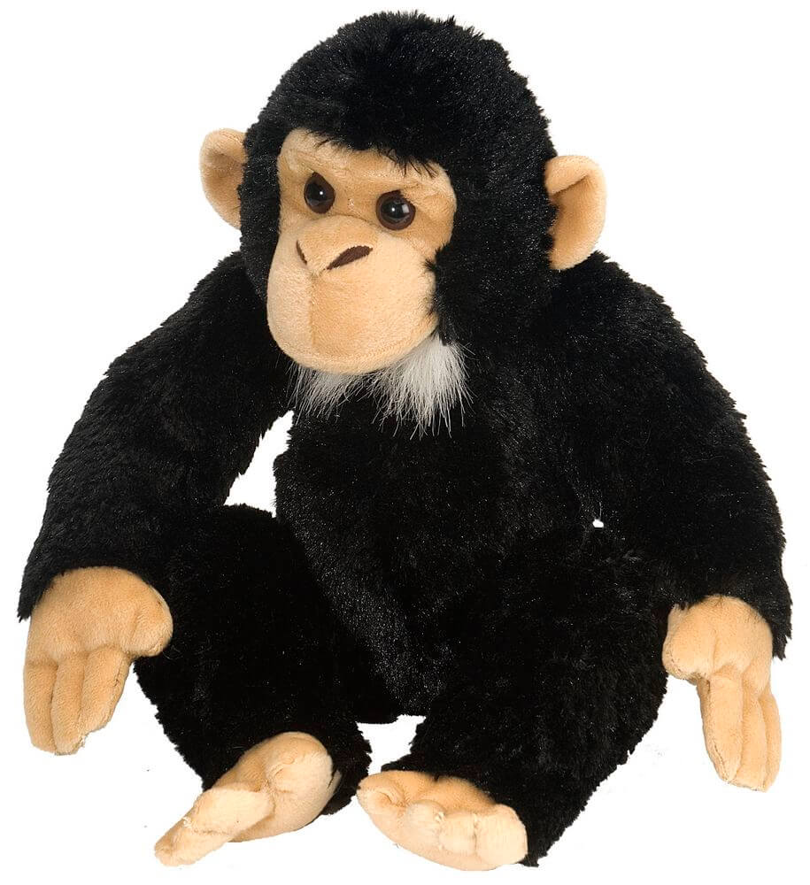 Bizoo CK Chimpanzee - Khubchands