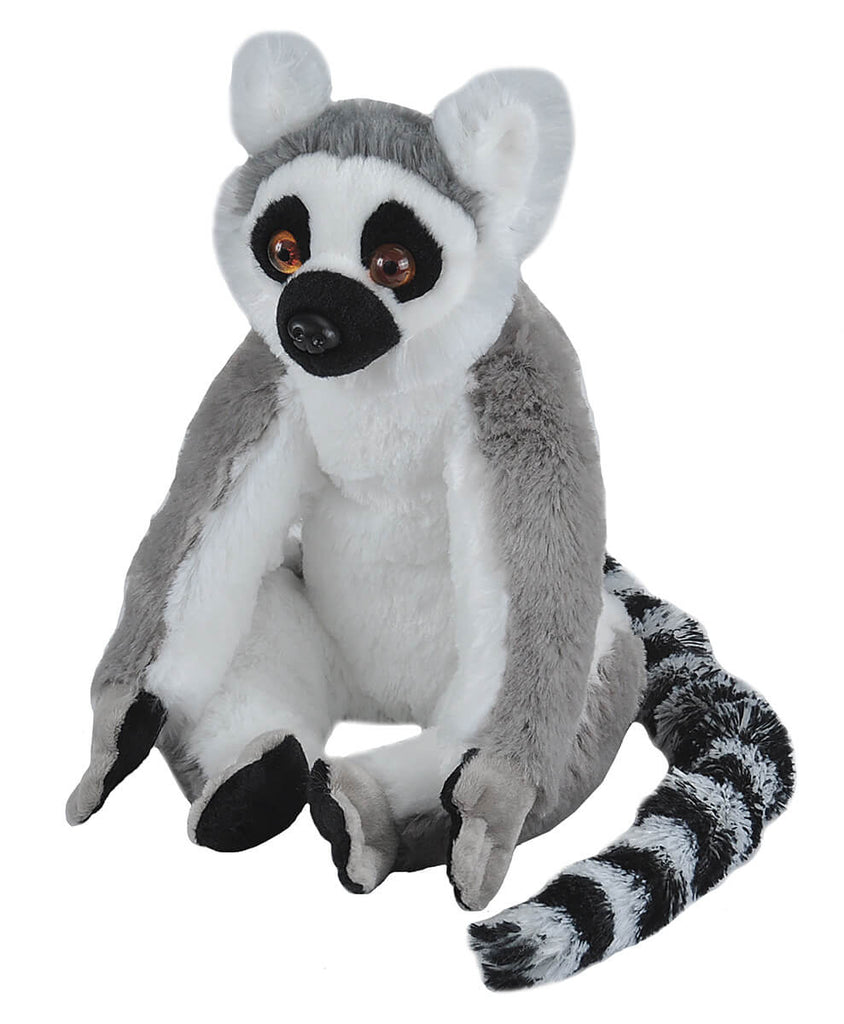 Bizoo CK Lemur - Khubchands