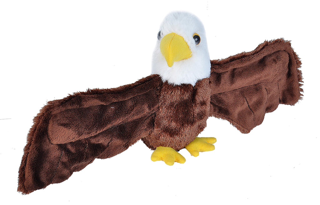 Bizoo Huggers Bald Eagle - Khubchands