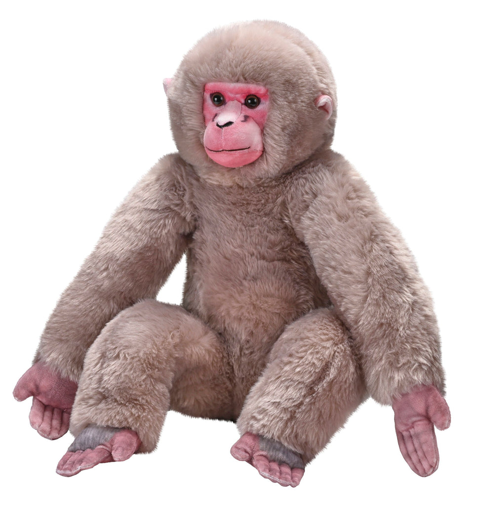 Bizoo Japanese Macaque - Khubchands
